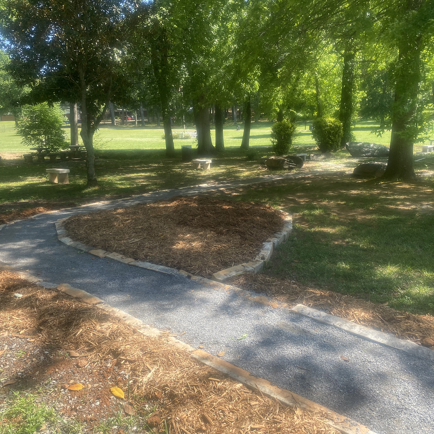 new paths and garden space