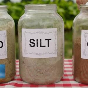 Make Georgia Soil