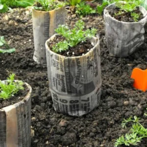 Biodegradable Pots for Seedlings