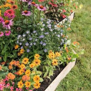 Gardening can help you to be a better person