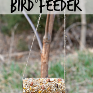 Build your own Bird Feeder